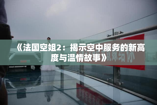 《法国空姐2：揭示空中服务的新高度与温情故事》