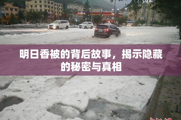 明日香被的背后故事，揭示隐藏的秘密与真相