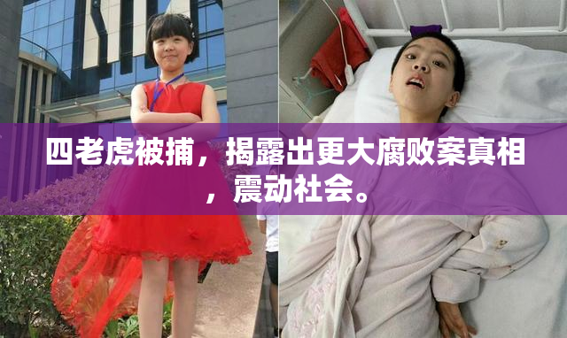 四老虎被捕，揭露出更大腐败案真相，震动社会。