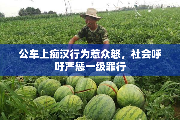 公车上痴汉行为惹众怒，社会呼吁严惩一级罪行