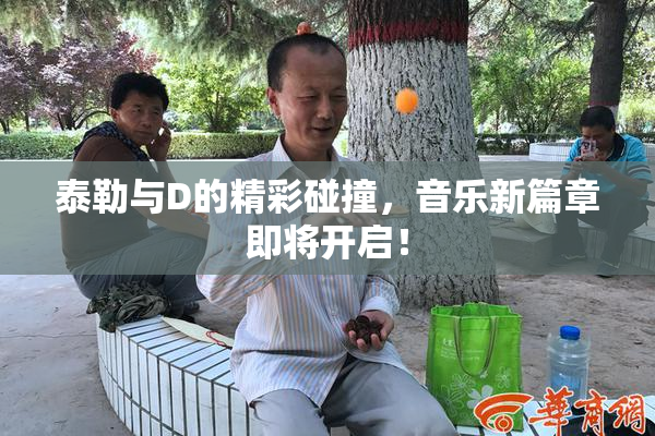 泰勒与D的精彩碰撞，音乐新篇章即将开启！