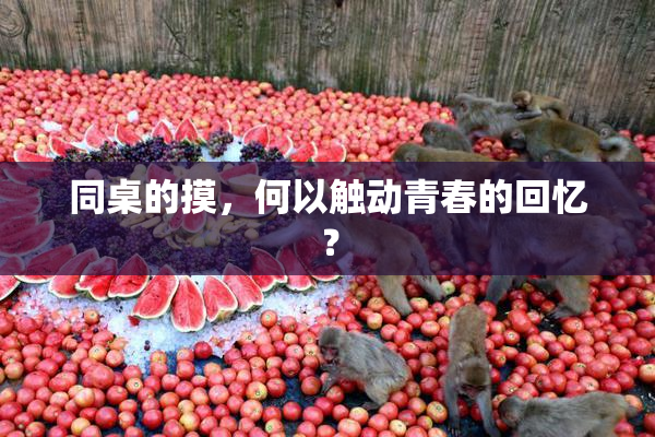 同桌的摸，何以触动青春的回忆？
