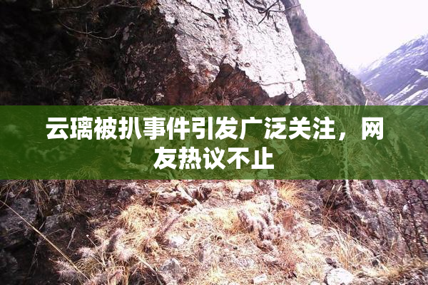 云璃被扒事件引发广泛关注，网友热议不止