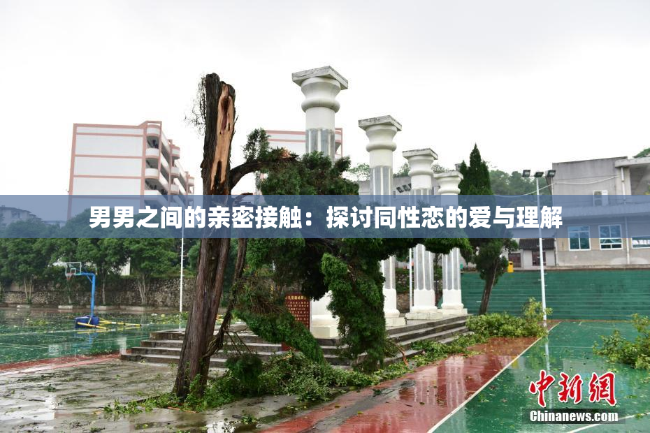 男男之间的亲密接触：探讨同性恋的爱与理解