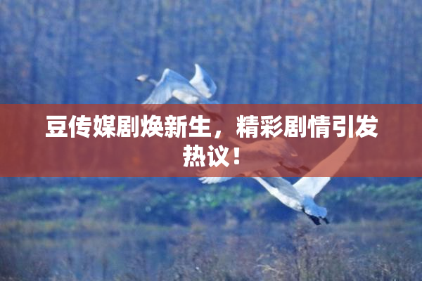 豆传媒剧焕新生，精彩剧情引发热议！
