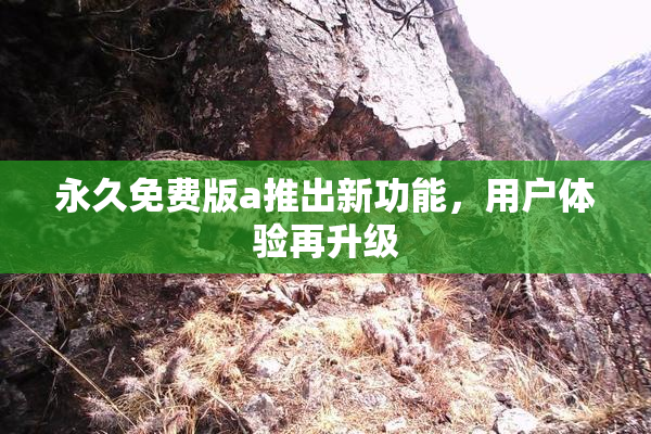 永久免费版a推出新功能，用户体验再升级