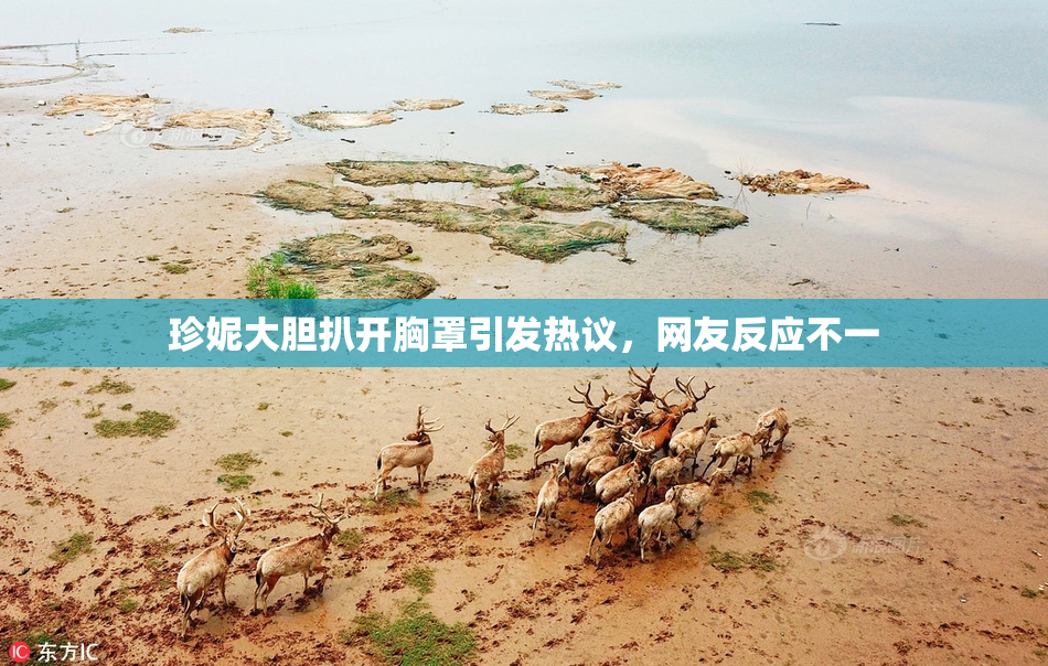 珍妮大胆扒开胸罩引发热议，网友反应不一