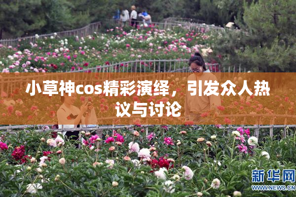 小草神cos精彩演绎，引发众人热议与讨论