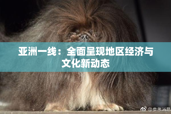 亚洲一线：全面呈现地区经济与文化新动态