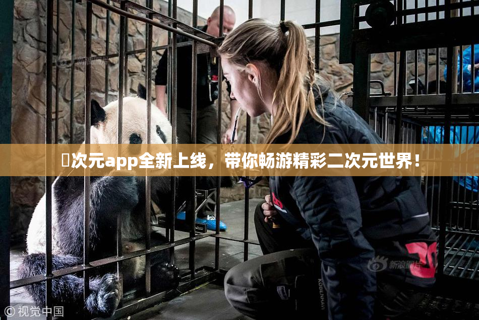 囧次元app全新上线，带你畅游精彩二次元世界！