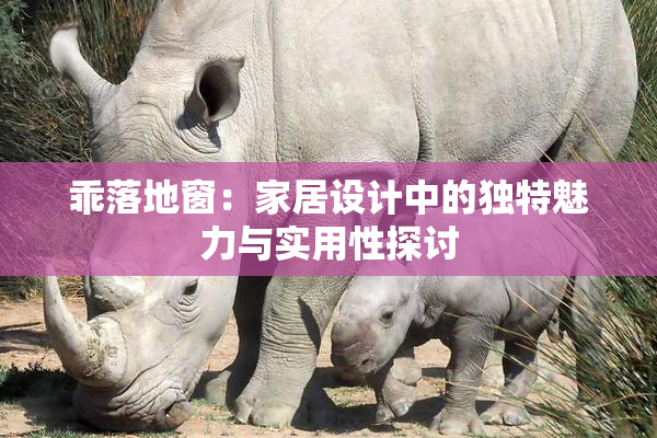 乖落地窗：家居设计中的独特魅力与实用性探讨