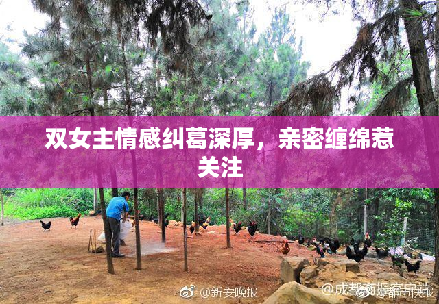 双女主情感纠葛深厚，亲密缠绵惹关注