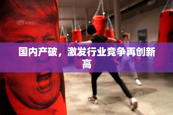 国内产破，激发行业竞争再创新高