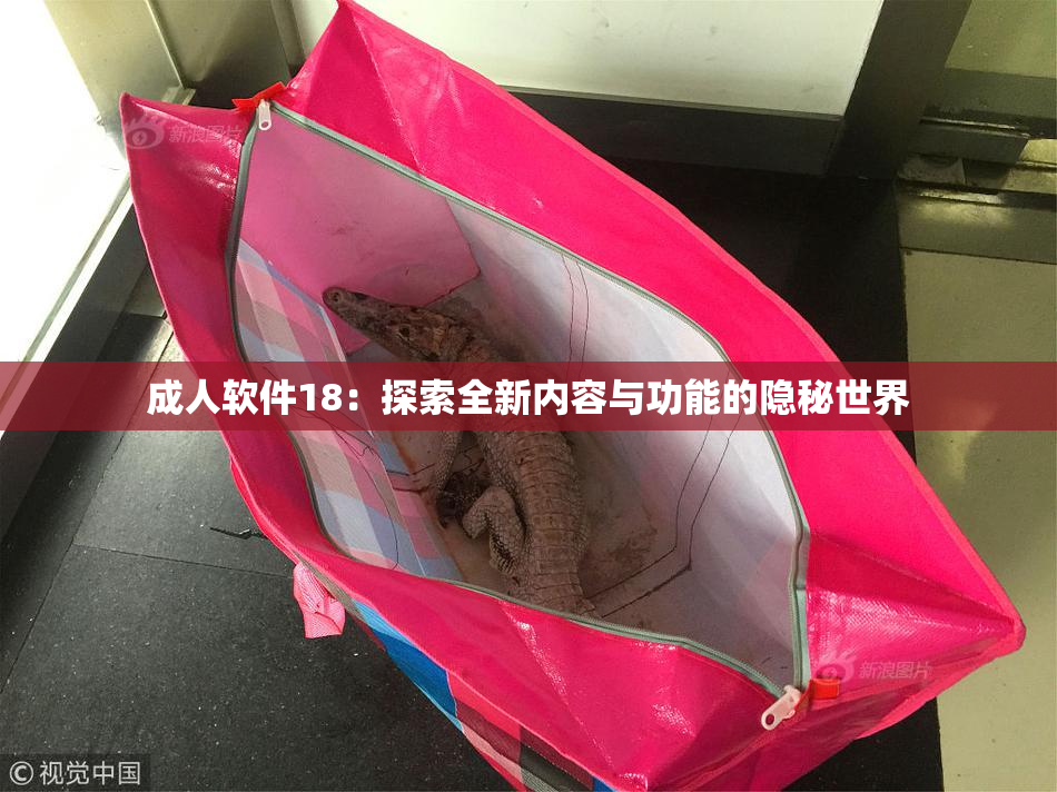 成人软件18：探索全新内容与功能的隐秘世界