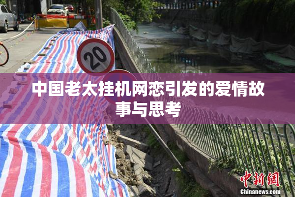 中国老太挂机网恋引发的爱情故事与思考
