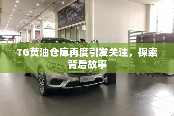 TG黄油仓库再度引发关注，探索背后故事