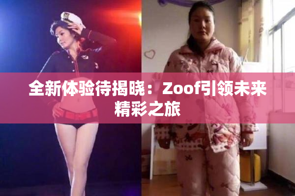 全新体验待揭晓：Zoof引领未来精彩之旅