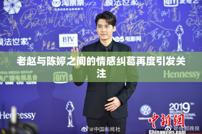 老赵与陈婷之间的情感纠葛再度引发关注
