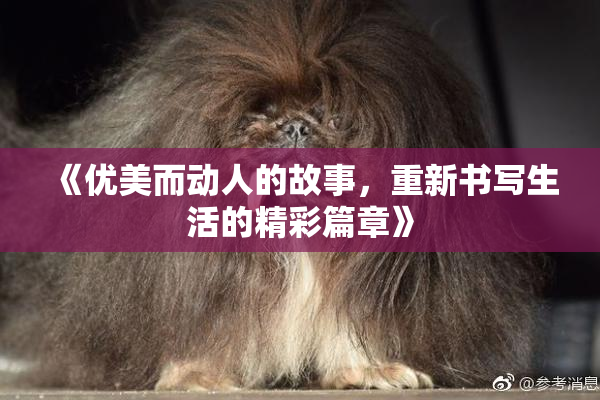 《优美而动人的故事，重新书写生活的精彩篇章》