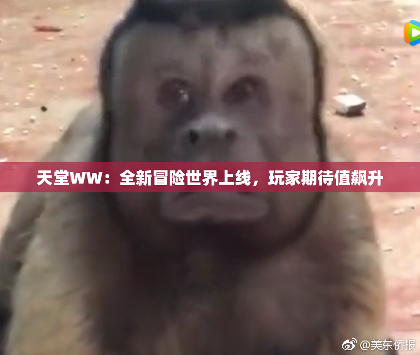 天堂WW：全新冒险世界上线，玩家期待值飙升