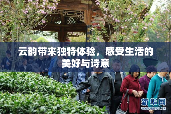 云韵带来独特体验，感受生活的美好与诗意