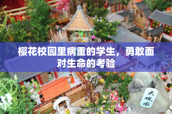 樱花校园里病重的学生，勇敢面对生命的考验