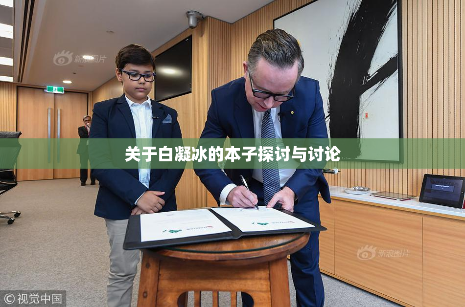 关于白凝冰的本子探讨与讨论