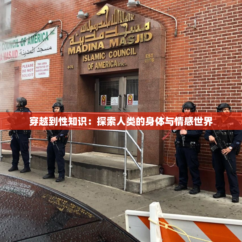 穿越到性知识：探索人类的身体与情感世界