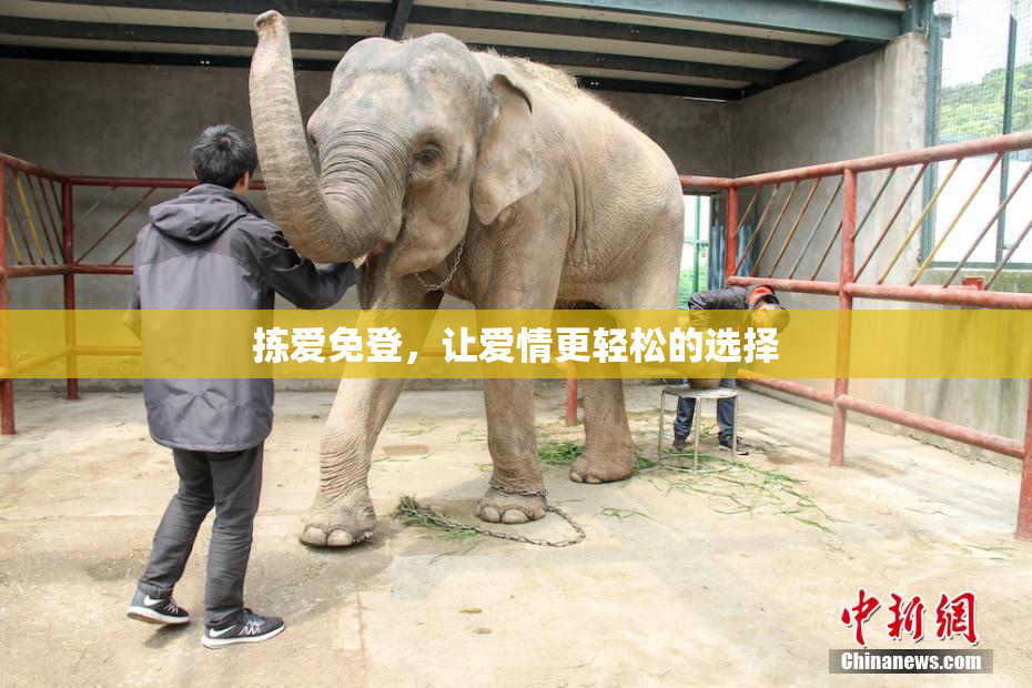 拣爱免登，让爱情更轻松的选择