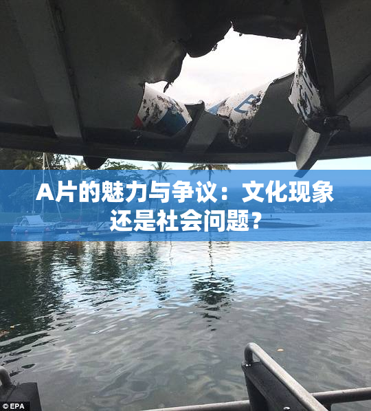 A片的魅力与争议：文化现象还是社会问题？