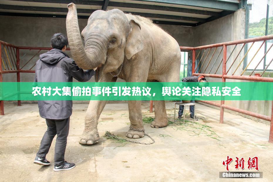 农村大集偷拍事件引发热议，舆论关注隐私安全