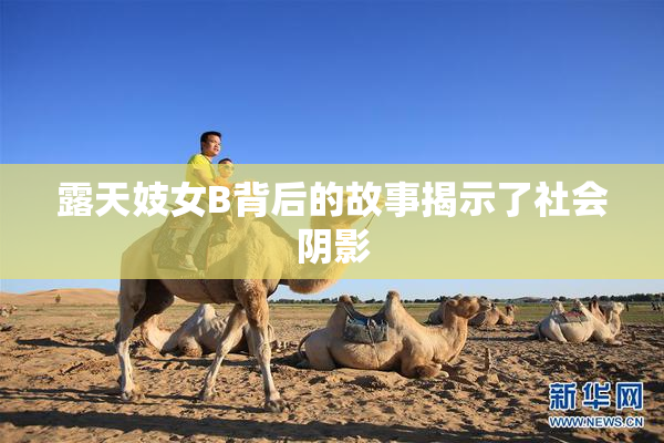 露天妓女B背后的故事揭示了社会阴影