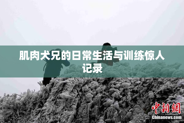 肌肉犬兄的日常生活与训练惊人记录