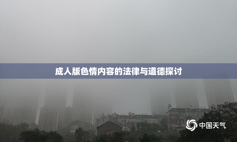 成人版色情内容的法律与道德探讨