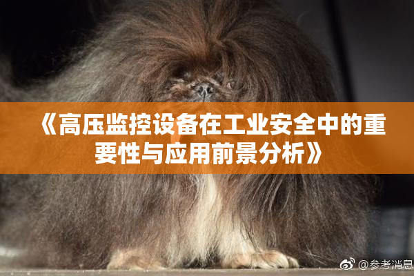 《高压监控设备在工业安全中的重要性与应用前景分析》