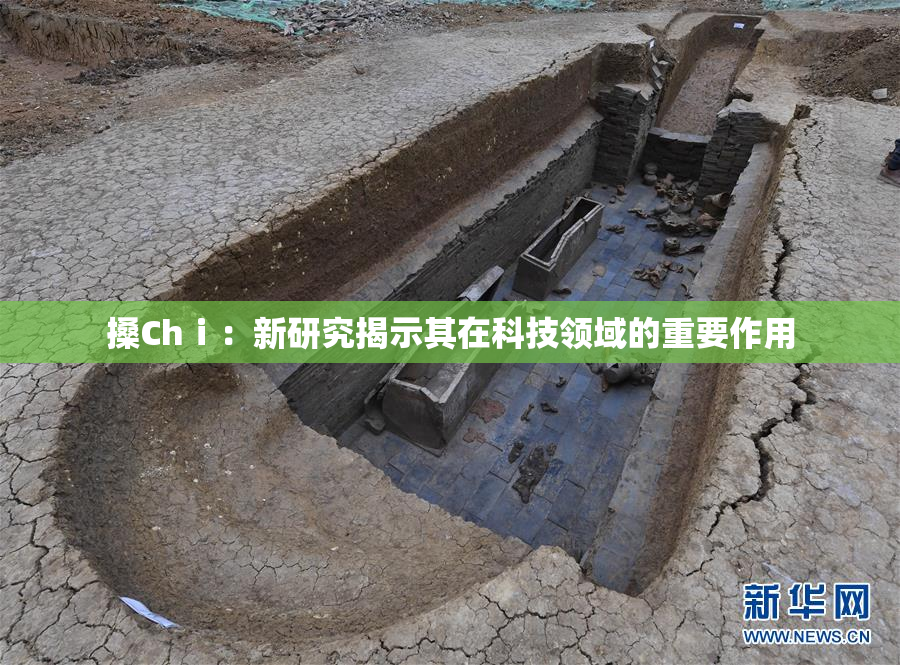 搡Chⅰ：新研究揭示其在科技领域的重要作用