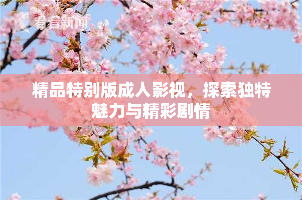 精品特别版成人影视，探索独特魅力与精彩剧情