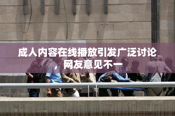 成人内容在线播放引发广泛讨论，网友意见不一
