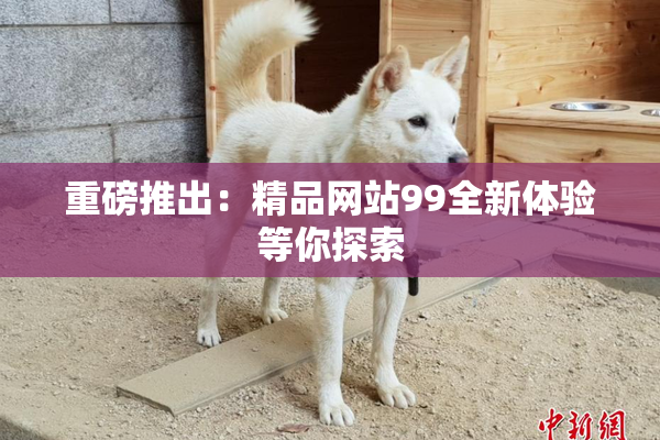重磅推出：精品网站99全新体验等你探索