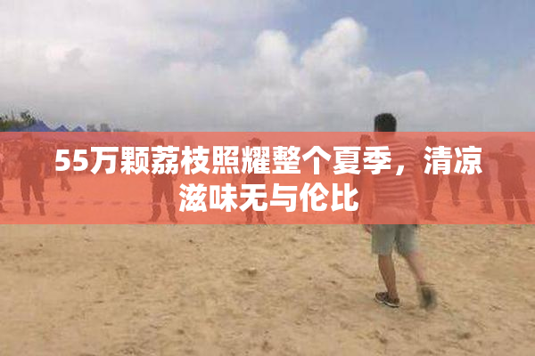 55万颗荔枝照耀整个夏季，清凉滋味无与伦比