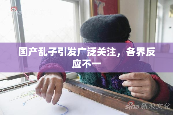 国产乱子引发广泛关注，各界反应不一