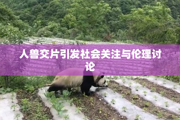 人兽交片引发社会关注与伦理讨论