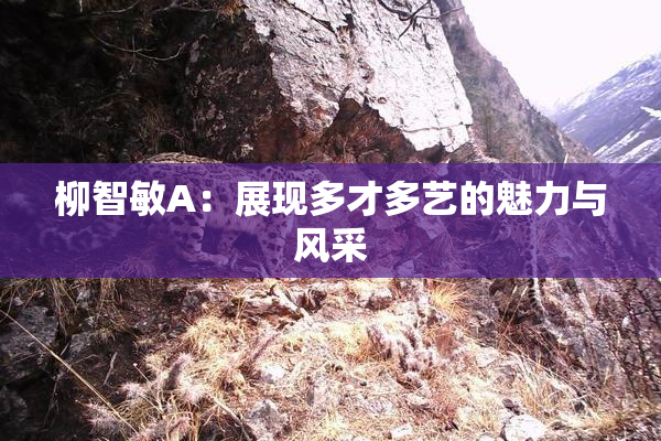 柳智敏A：展现多才多艺的魅力与风采