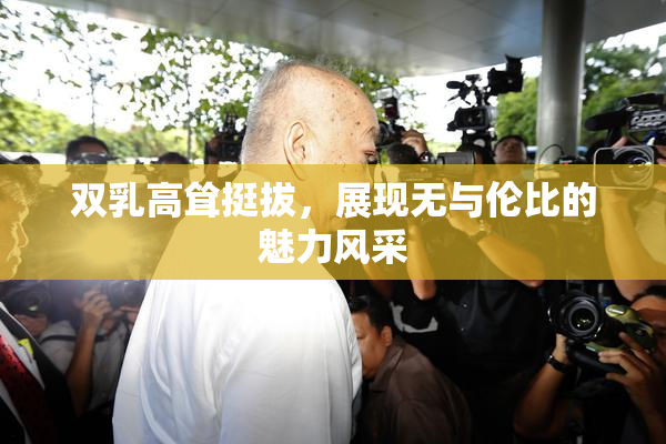 双乳高耸挺拔，展现无与伦比的魅力风采