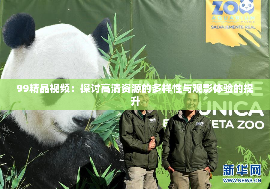 99精品视频：探讨高清资源的多样性与观影体验的提升