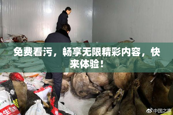 免费看污，畅享无限精彩内容，快来体验！