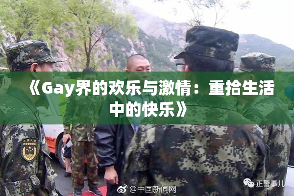 《Gay界的欢乐与激情：重拾生活中的快乐》