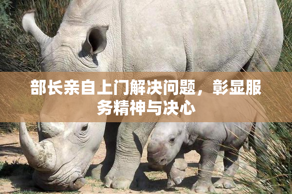 部长亲自上门解决问题，彰显服务精神与决心