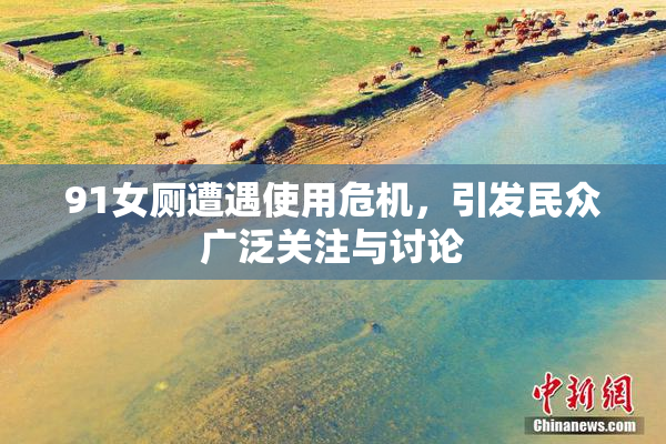 91女厕遭遇使用危机，引发民众广泛关注与讨论
