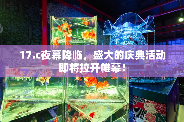 17.c夜幕降临，盛大的庆典活动即将拉开帷幕！